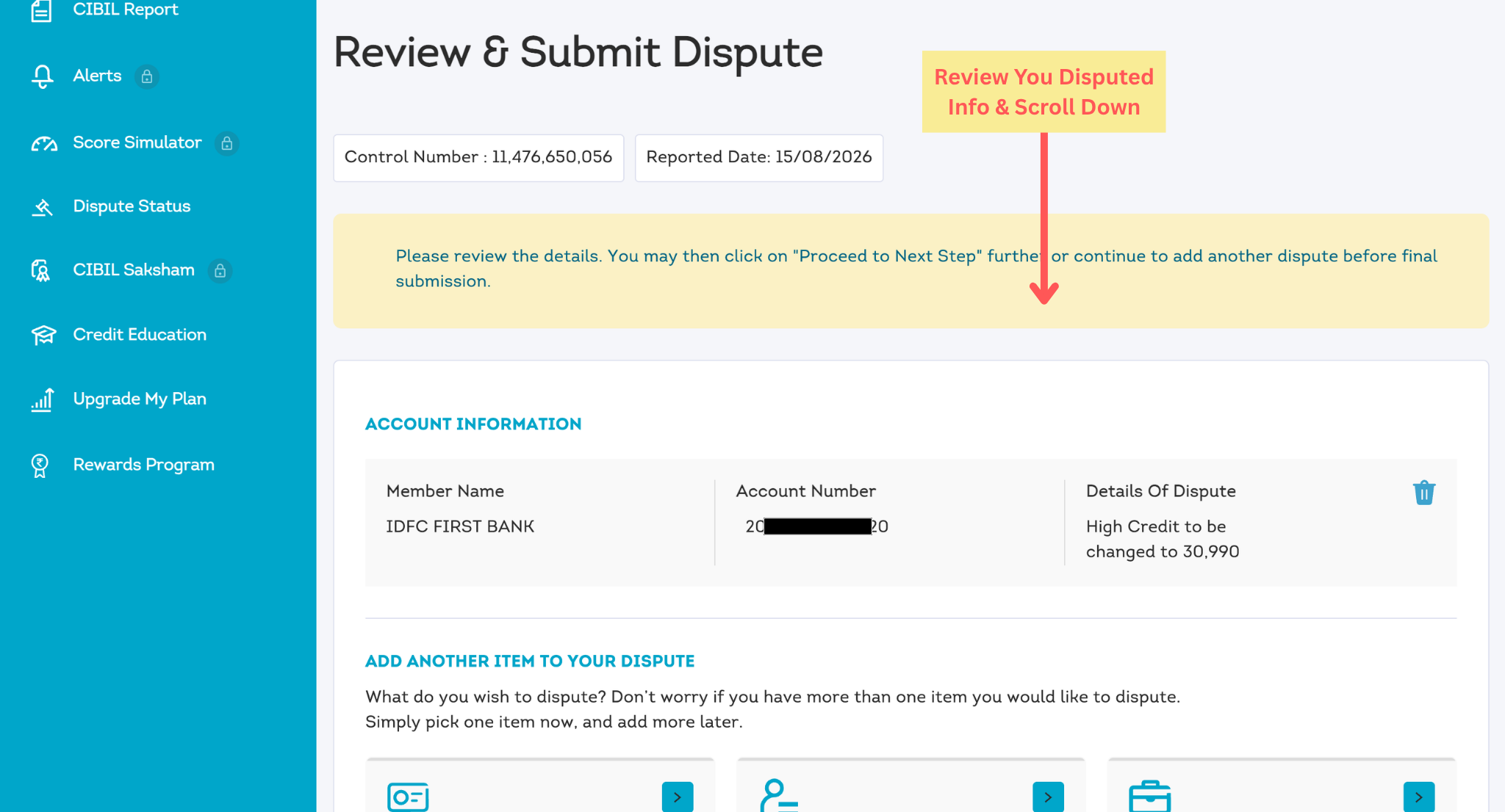 Review selected CIBIL dispute information before final submission