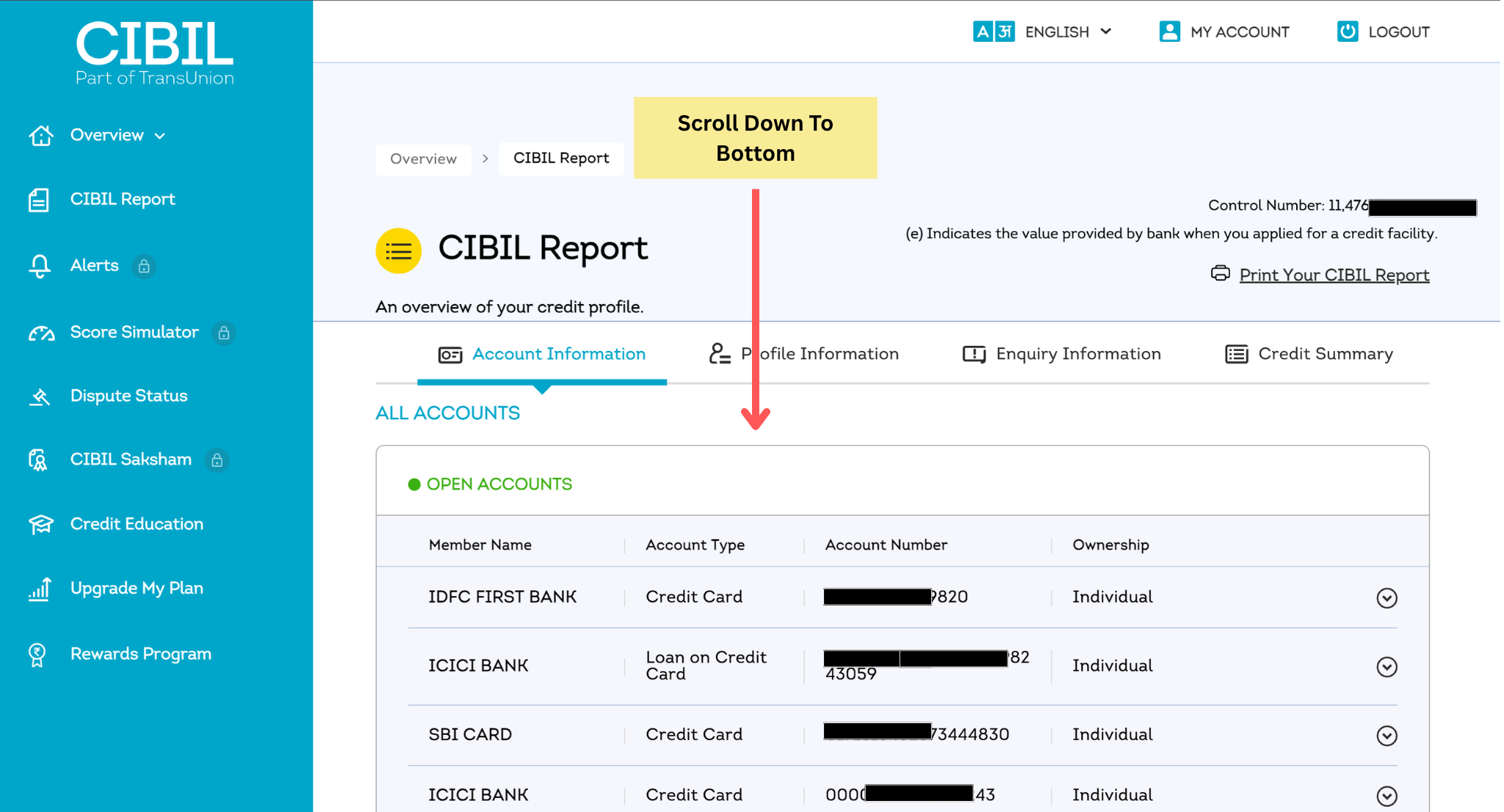 Scroll to the bottom of the CIBIL report and click on Raise a Dispute option
