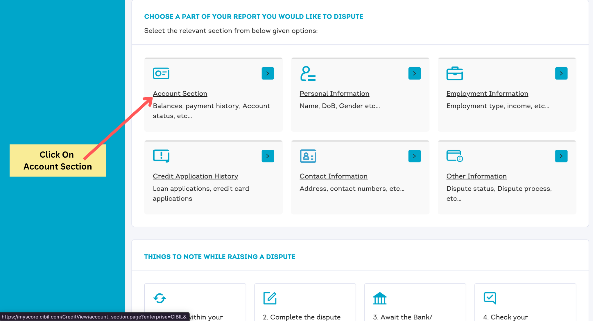 CIBIL dispute page showing different report sections including Account Section, Personal Information and Employment Information