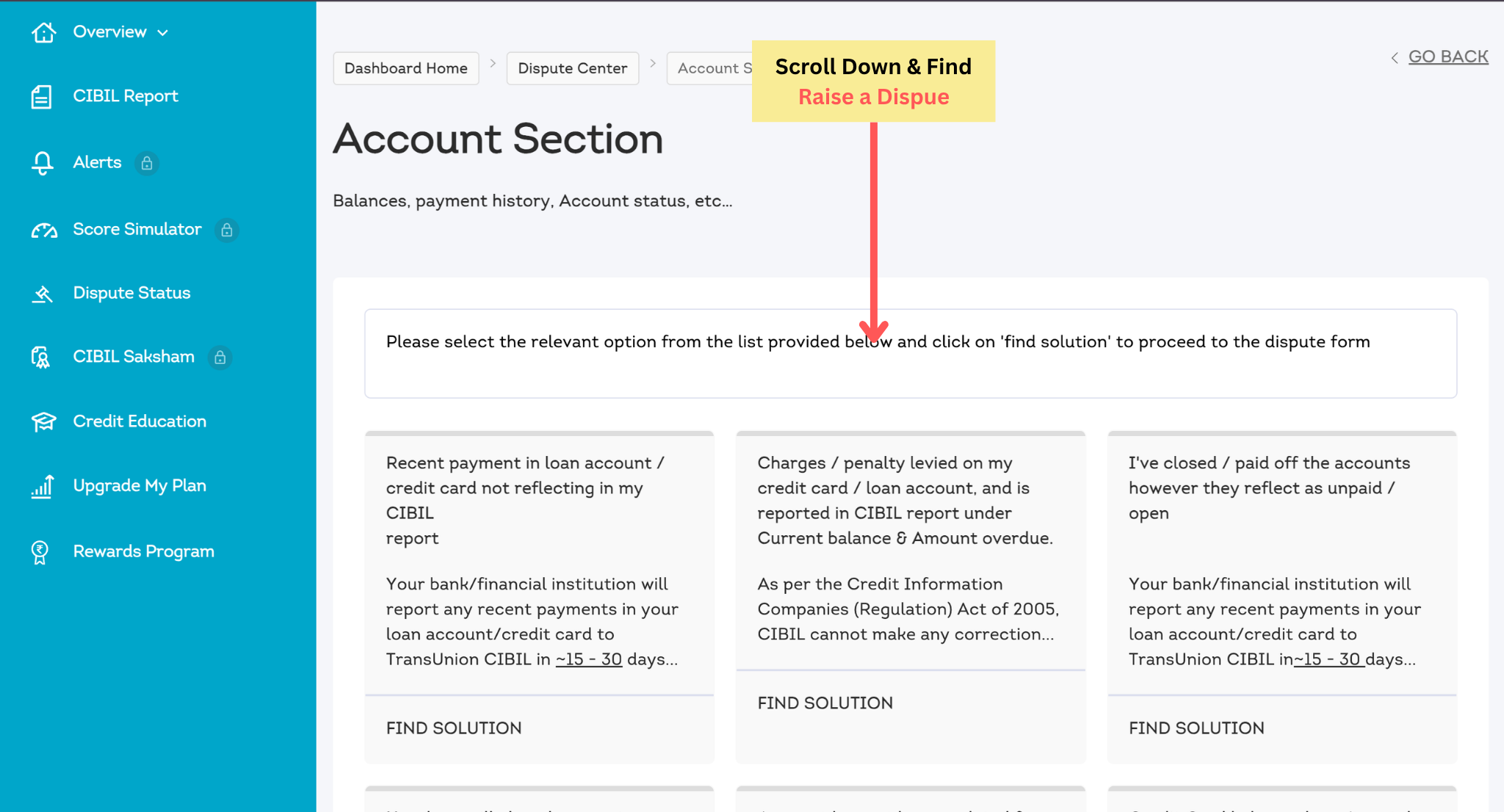 CIBIL dispute issue page showing information about the selected account problem and how to raise the issue